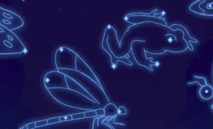 stars